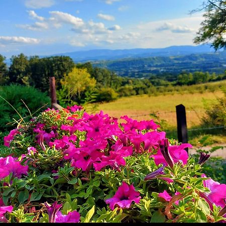 Kuca Za Uzivanje Valjevo Buitenkant foto