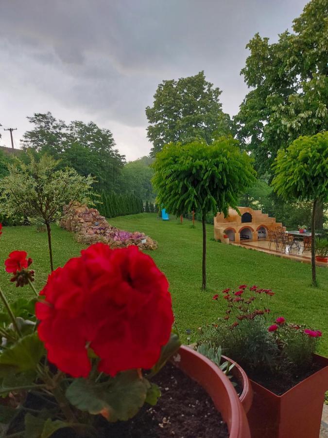 Kuca Za Uzivanje Valjevo Buitenkant foto