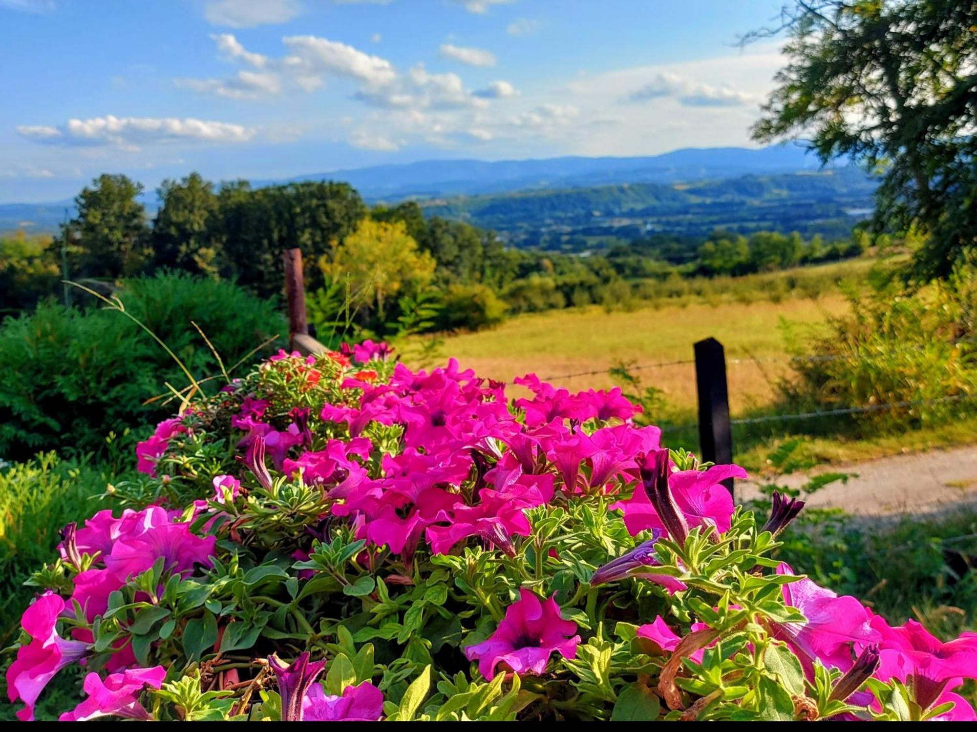 Kuca Za Uzivanje Valjevo Buitenkant foto