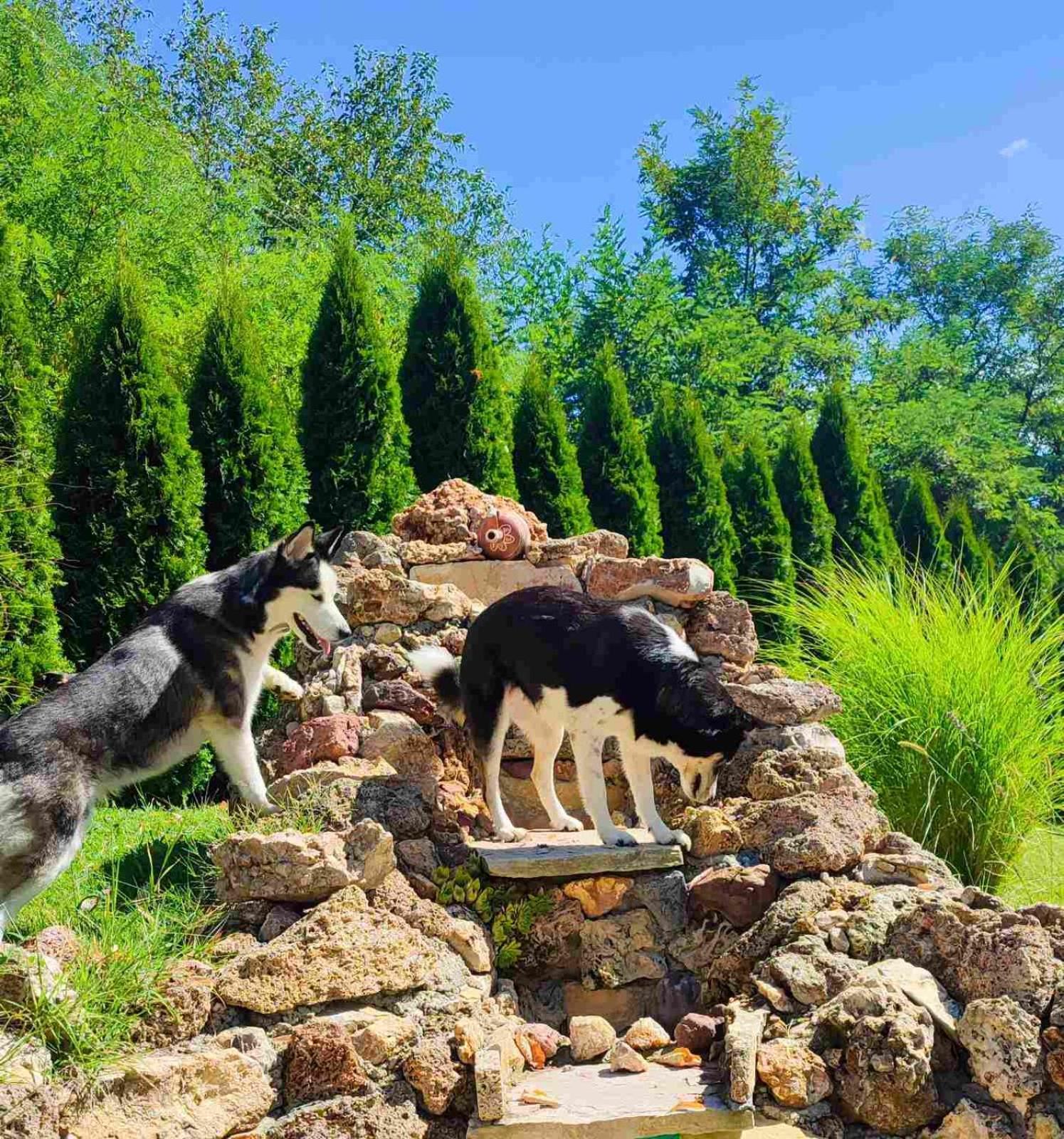 Kuca Za Uzivanje Valjevo Buitenkant foto